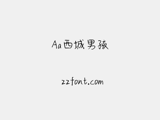 Aa西城男孩