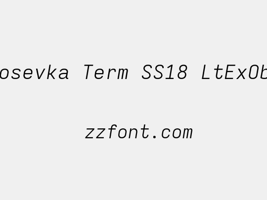 Iosevka Term SS18 LtExObl