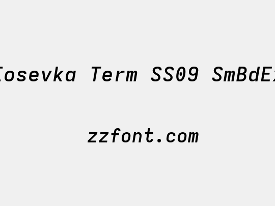 Iosevka Term SS09 SmBdEx