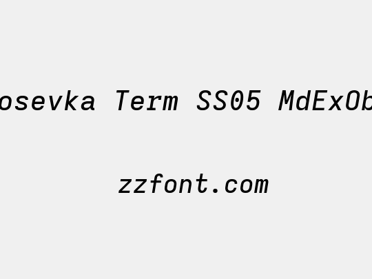 Iosevka Term SS05 MdExObl