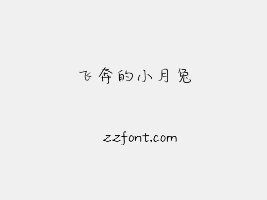 飞奔的小月兔