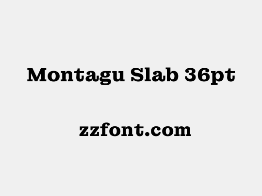 Montagu Slab 36pt