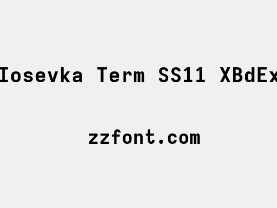 Iosevka Term SS11 XBdEx