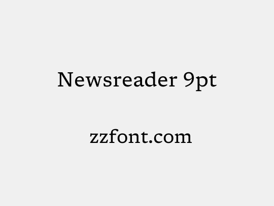 Newsreader 9pt