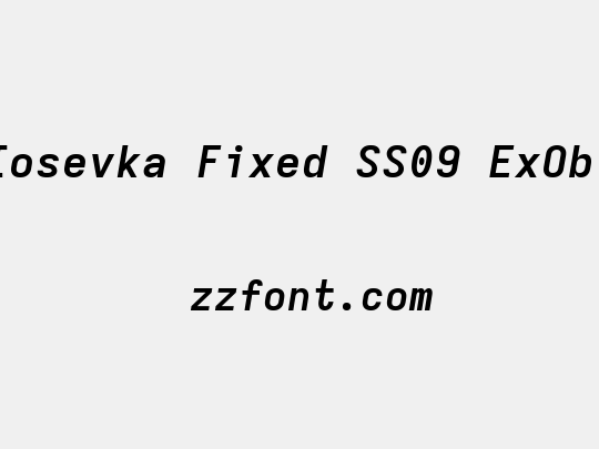 Iosevka Fixed SS09 ExObl
