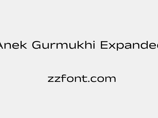 Anek Gurmukhi Expanded