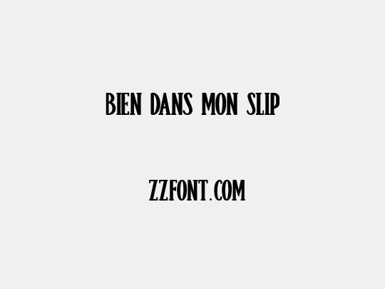 Bien dans mon Slip