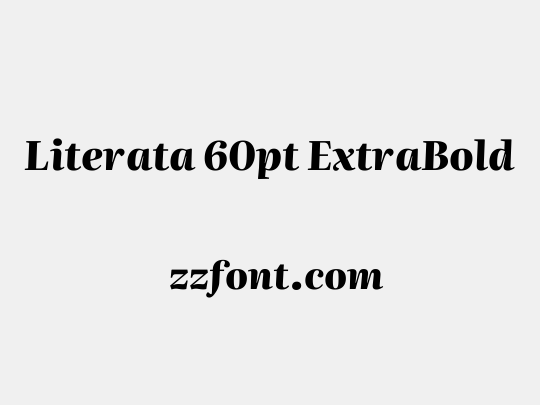 Literata 60pt ExtraBold