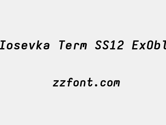 Iosevka Term SS12 ExObl