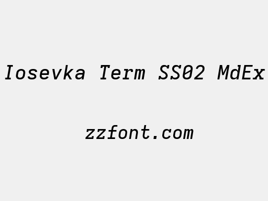 Iosevka Term SS02 MdEx