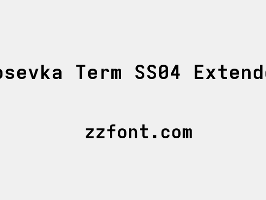 Iosevka Term SS04 Extended