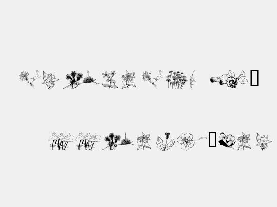 wmflowers2