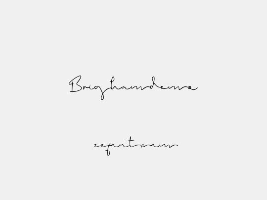Brighamdemo