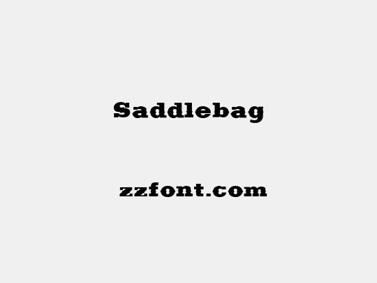 Saddlebag