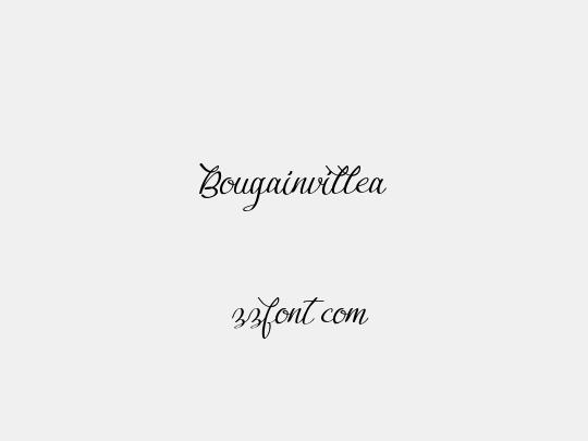 Bougainvillea