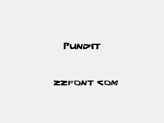 Pundit