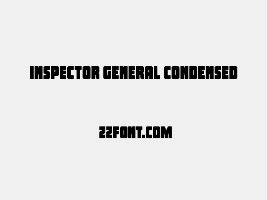 Inspector General Condensed