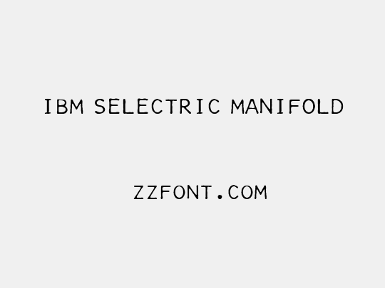 IBM Selectric Manifold
