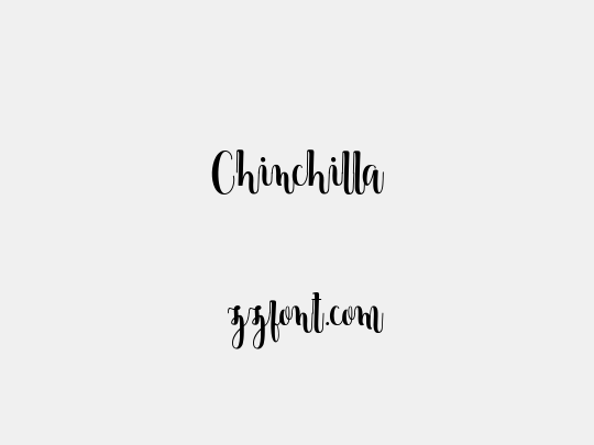 Chinchilla