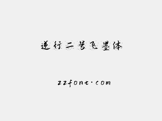 逆行二号飞墨体