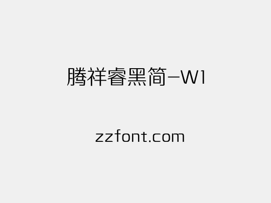 腾祥睿黑简-W1