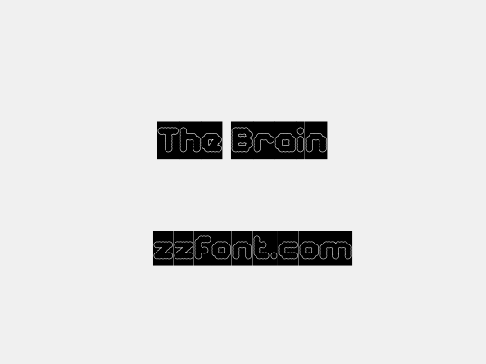 The Brain