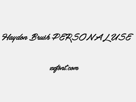 Haydon Brush PERSONAL USE