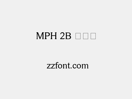 MPH 2B 大妈贼