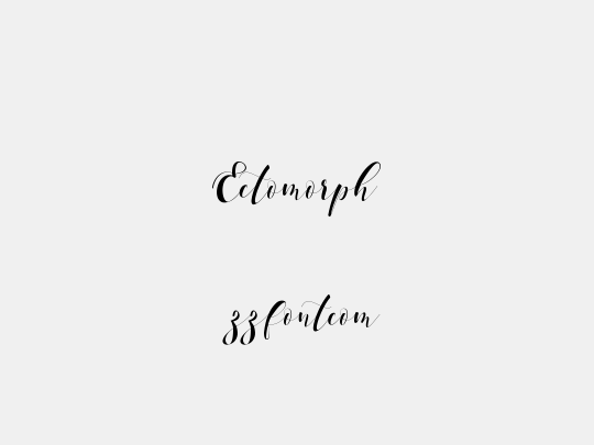 Ectomorph