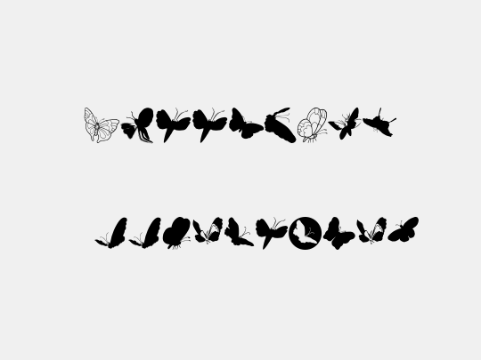 ButterFly