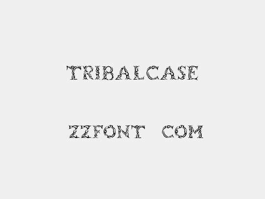 Tribalcase