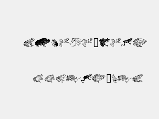 AmphibiPrint