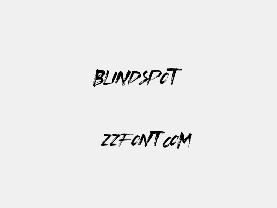 Blindspot