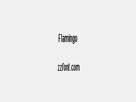 Flamingo