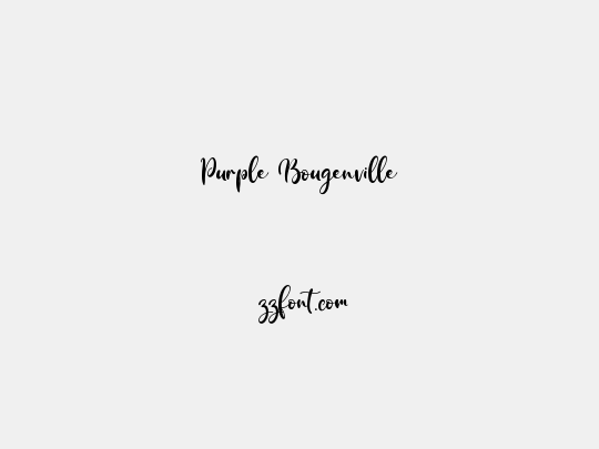 Purple Bougenville