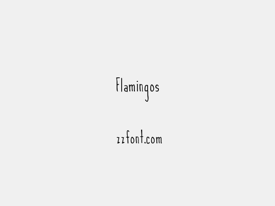 Flamingos