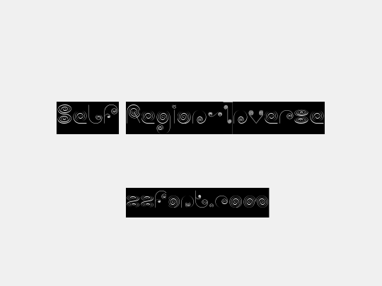 Self Region-Inverse