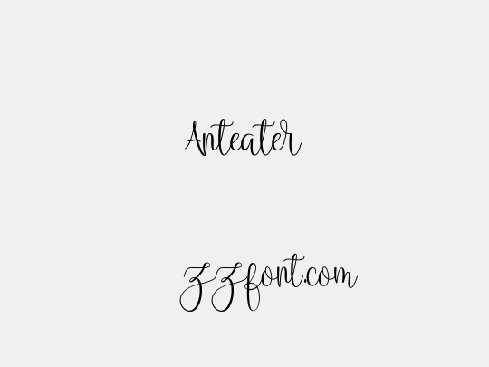 Anteater