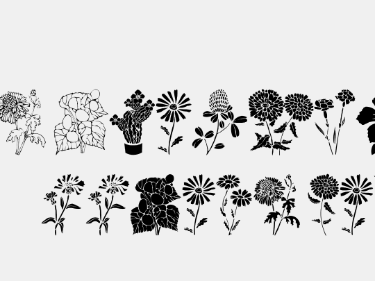 DT Flowers 1