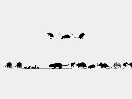 Rats