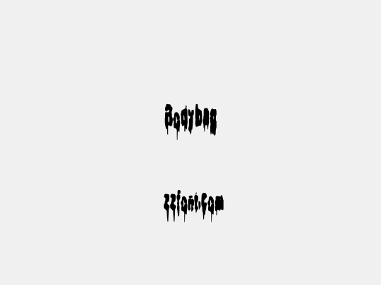 Bodybag