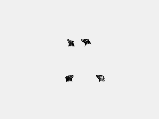 Dogs