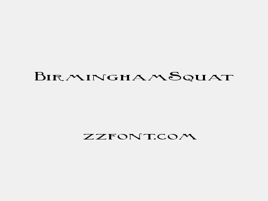 BirminghamSquat