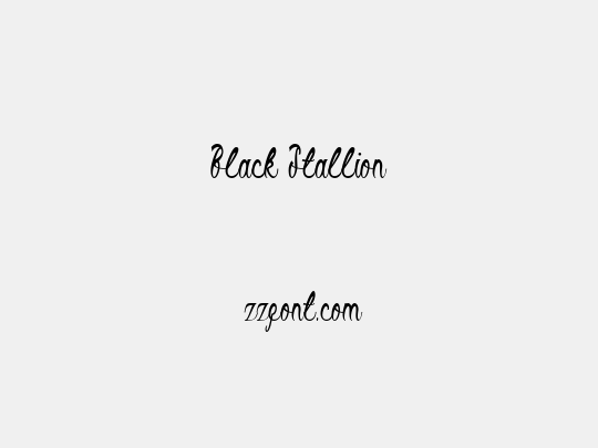 Black Stallion