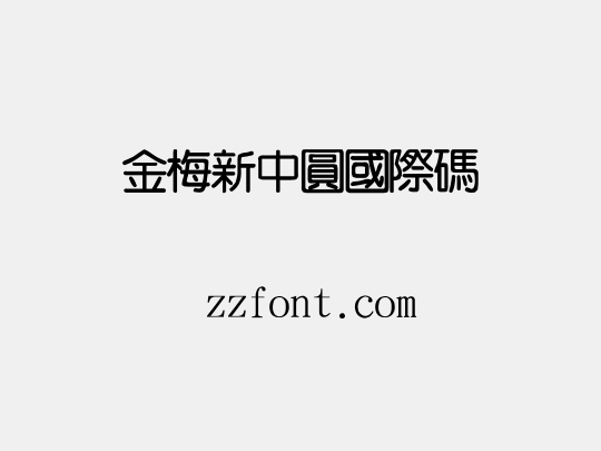 金梅新中圓國際碼