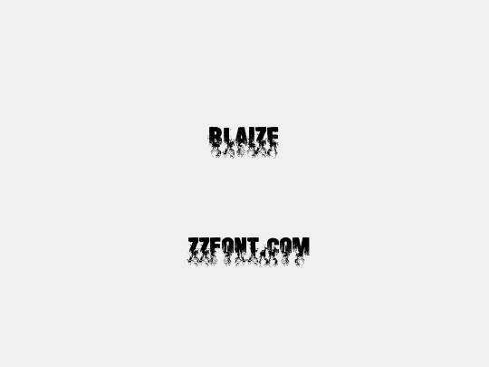 Blaize