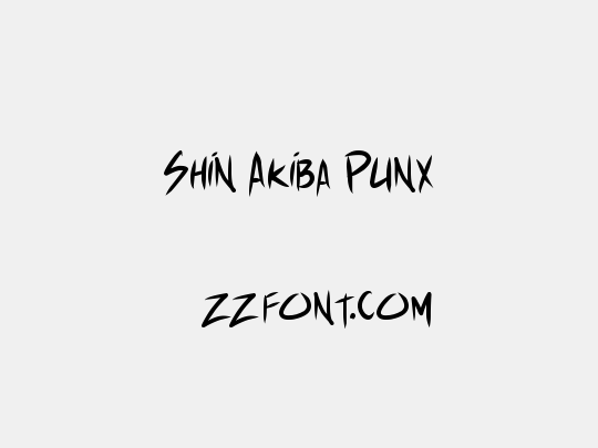 Shin Akiba Punx