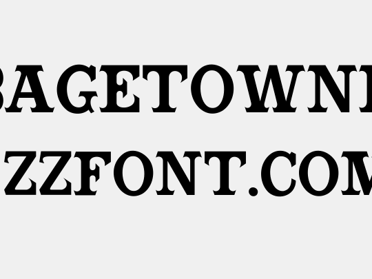 CabbagetownBook