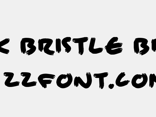 Brisk Bristle Brush