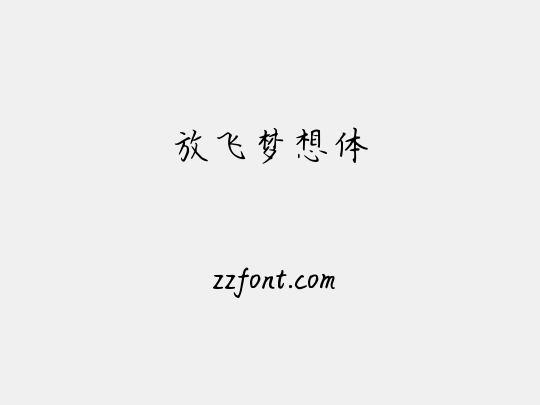 放飞梦想体